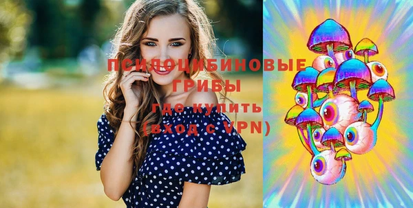 МДПВ Зеленокумск
