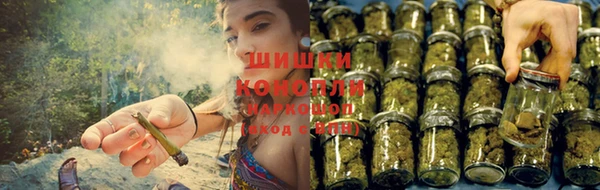 МДПВ Зеленокумск