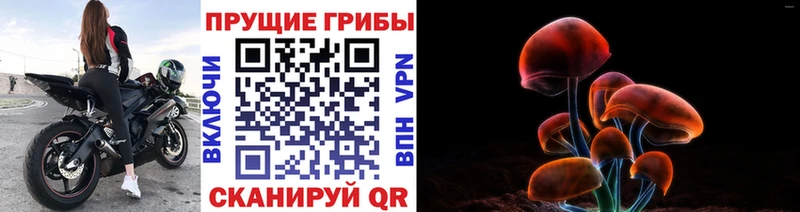 даркнет сайт  Спас-Деменск  Псилоцибиновые грибы MAGIC MUSHROOMS 